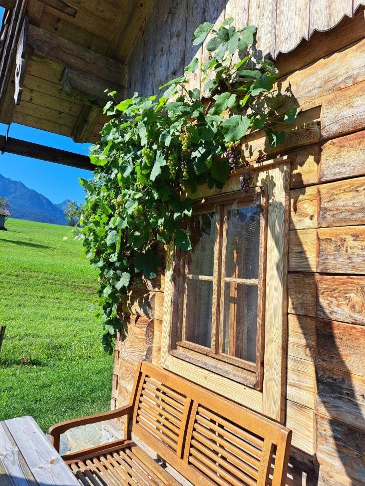 Ferienhütte Wolfgangsee Saint Wolfgang Exterior foto